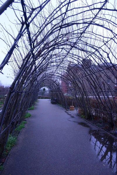 DSC_6186 (Large).JPG